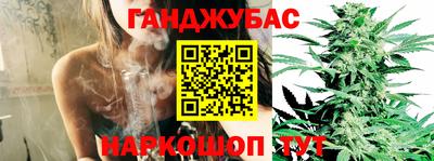 a pvp Гагарин