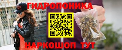 прущая мука Гай