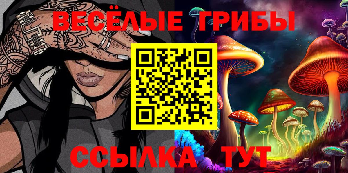 Псилоцибиновые грибы мухоморы  Вход с VPN  как найти наркотики  Нижнеудинск 